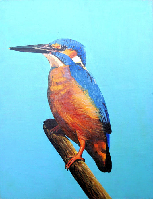 Kingfisher Bird Wildlife Hand Painting original in Canvas, Unframed, 35*45 cm