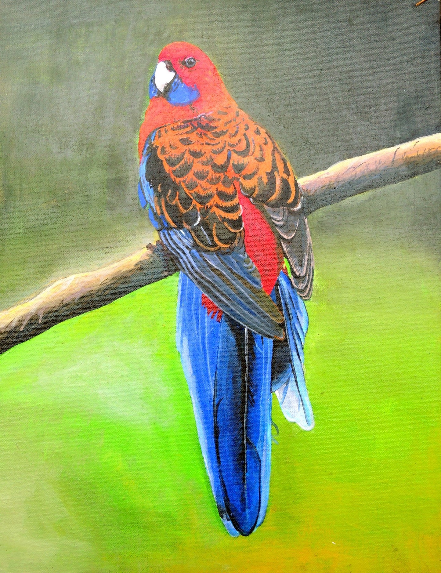 Parrot Bird Wildlife Hand Painting original in Canvas, Unframed, 35*45 cm